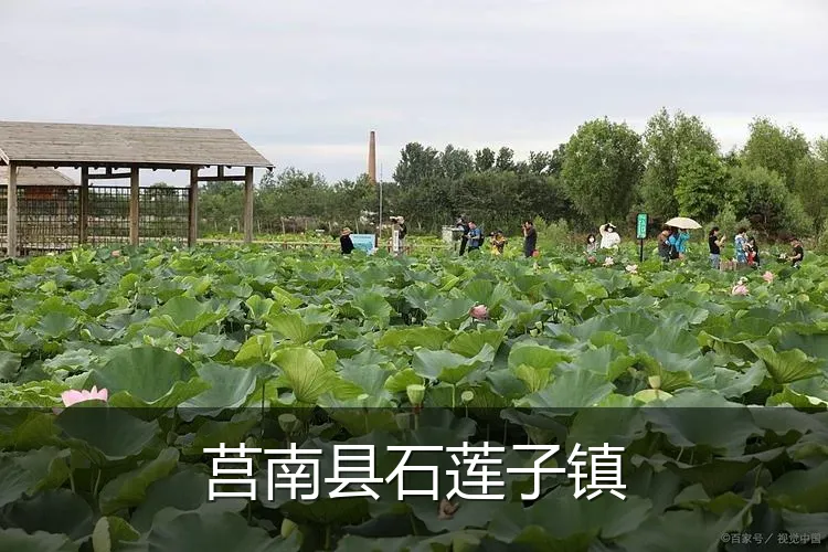 莒南县石莲子镇